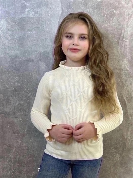 Водолазка 60121 55518 - фото 309910