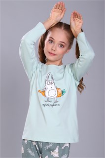 Пижама для девочки Зайцы-морковки арт. ПД-15-048 34236