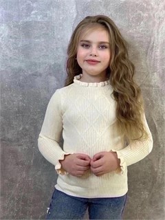 Водолазка 60121 55518