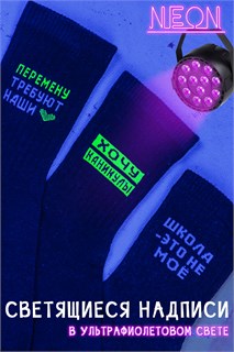 Носки детские Учёба (набор 3 пары) 53567