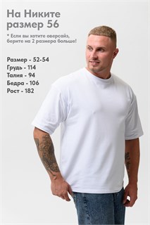 Футболка оверсайз мужская 14414 49279
