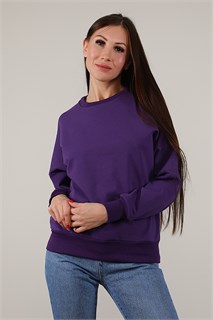 Толстовка 88053 46117