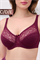 Бюстгальтер OIRO кружевной OLIVIA 2808 55873 - фото 114634 Бюстгальтер OIRO кружевной OLIVIA 2808 55873 - фото 114634