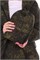 Костюм туристический marching КТМ 29656 - фото 159674 Костюм туристический marching КТМ 29656 - фото 159674