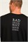 Футболка мужская K&M 88504 40718 - фото 433210 Футболка мужская K&M 88504 40718 - фото 433210